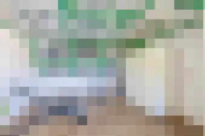 Merellaan 427 Capelle aan den IJssel thumbnail 37