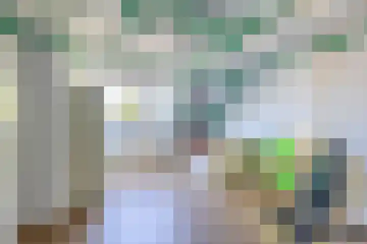Merellaan 427 Capelle aan den IJssel thumbnail 38