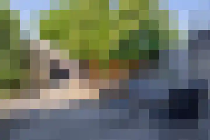 Merellaan 427 Capelle aan den IJssel thumbnail 4