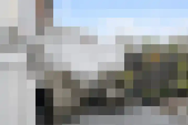 Merellaan 43 Vlaardingen thumbnail 10