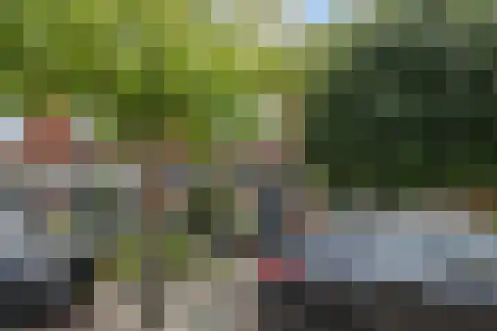 Merellaan 43 Vlaardingen thumbnail 27