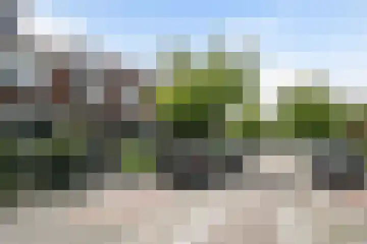 Merellaan 43 Vlaardingen thumbnail 28