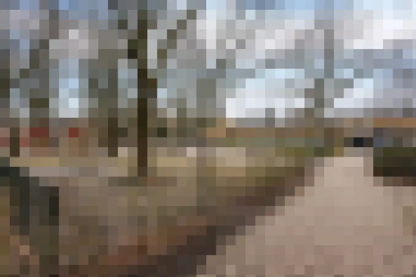 Merellaan 44 Maartensdijk thumbnail 33