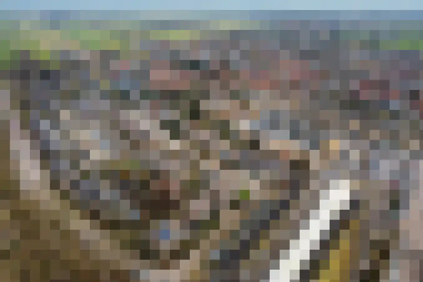 Merellaan 44 Maartensdijk thumbnail 37