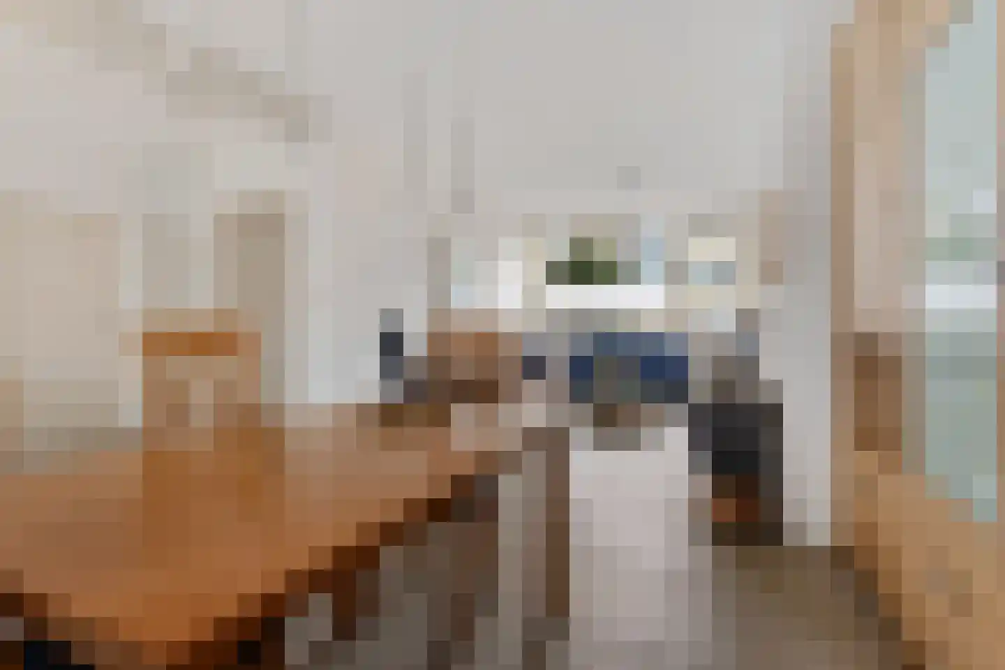 Merellaan 44 Maartensdijk thumbnail 5