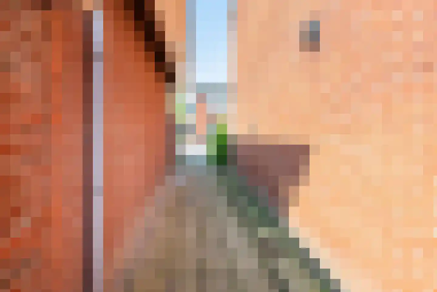 Merellaan 48 Ulft thumbnail 34