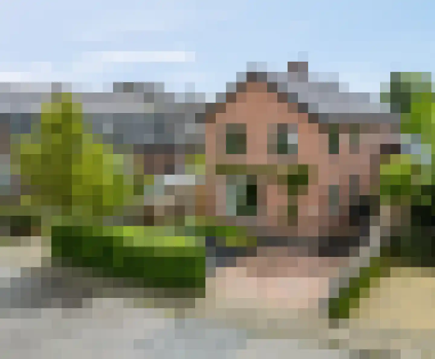 Merellaan 49 in Ede