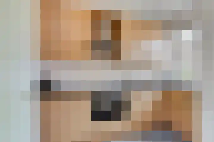 Merellaan 49 Capelle aan den IJssel thumbnail 8