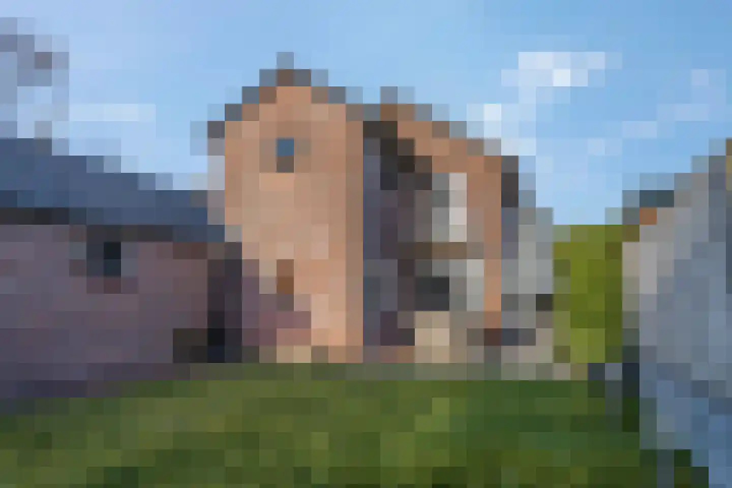 Merellaan 49 Ede thumbnail 35