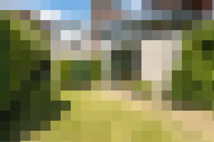 Merellaan 5 Malden thumbnail 4