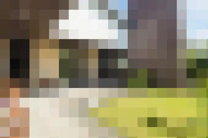 Merellaan 5 Malden thumbnail 49