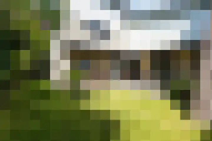 Merellaan 5 Malden thumbnail 52