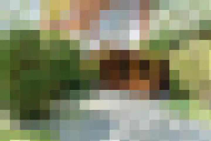 Merellaan 5 Malden thumbnail 53