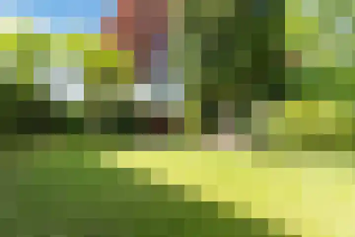 Merellaan 5 Malden thumbnail 54