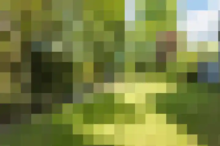 Merellaan 5 Malden thumbnail 55