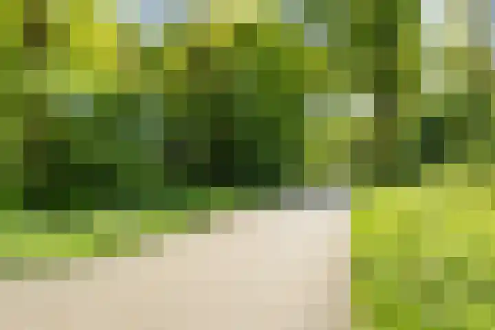 Merellaan 5 Malden thumbnail 58