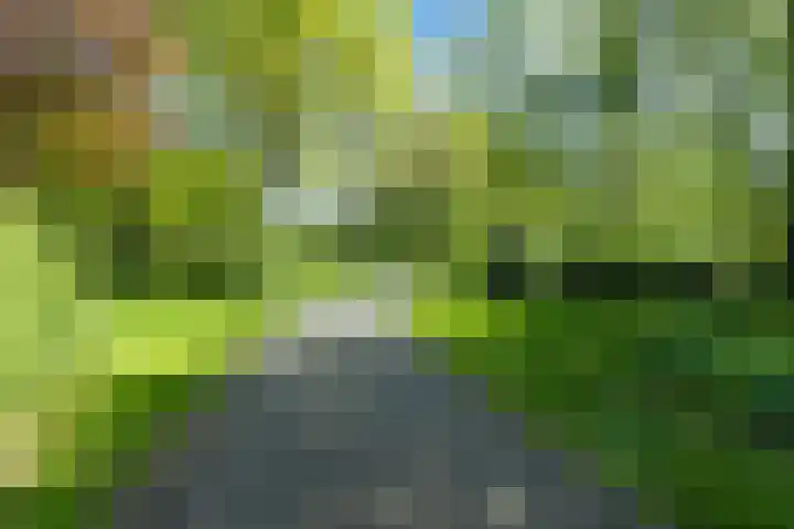 Merellaan 5 Malden thumbnail 59