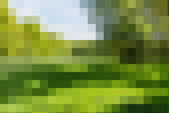 Merellaan 5 Malden thumbnail 60