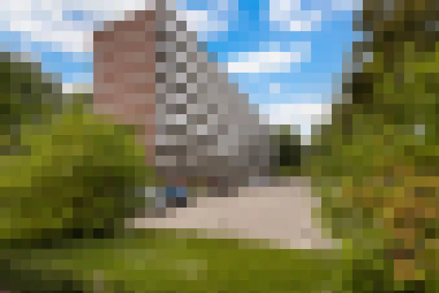 Merellaan 52 Capelle aan den IJssel thumbnail 34