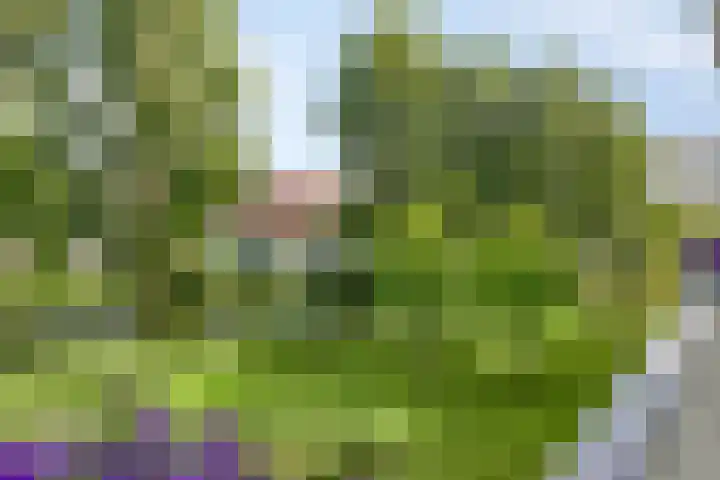 Merellaan 54 Capelle aan den IJssel thumbnail 30