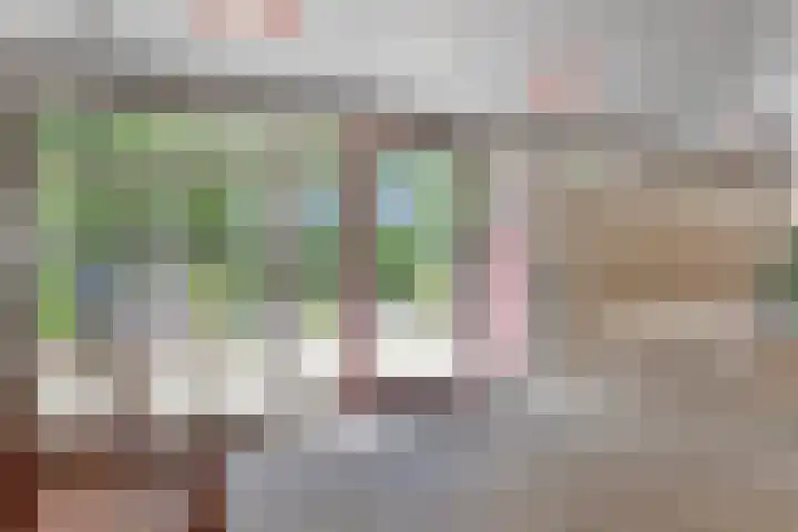 Merellaan 54 Capelle aan den IJssel thumbnail 9