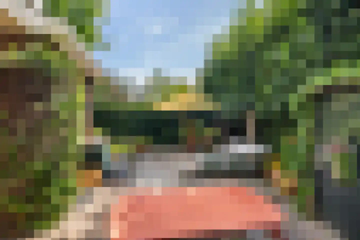Merellaan 58 Vlaardingen thumbnail 4