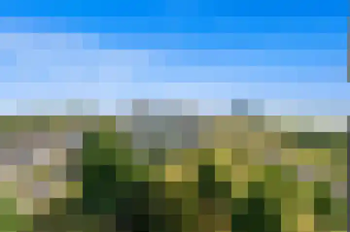 Merellaan 647 Maassluis thumbnail 35
