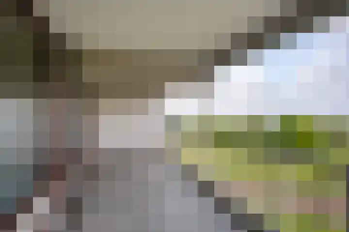 Merellaan 665 Maassluis thumbnail 20