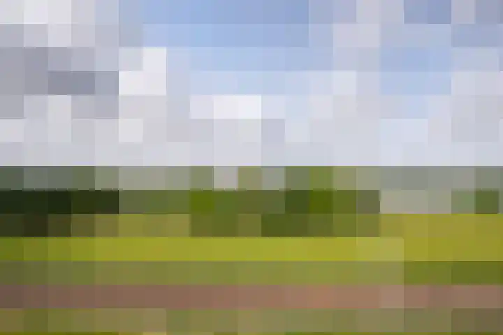 Merellaan 665 Maassluis thumbnail 29