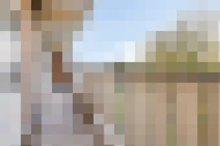 Merellaan 68 Capelle aan den IJssel thumbnail 16