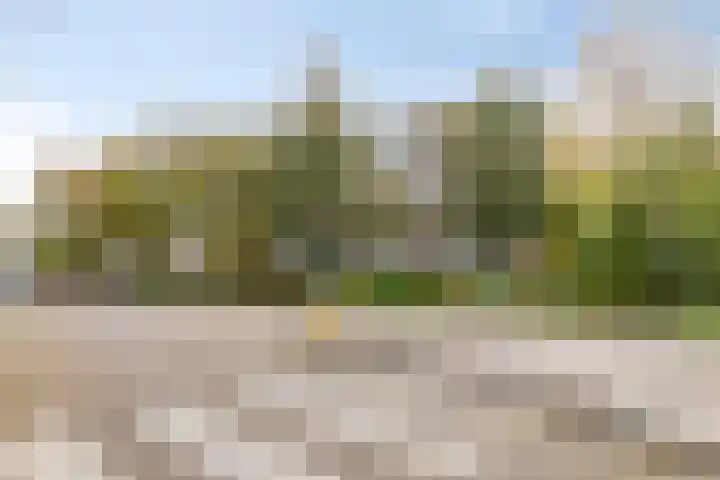 Merellaan 68 Capelle aan den IJssel thumbnail 6