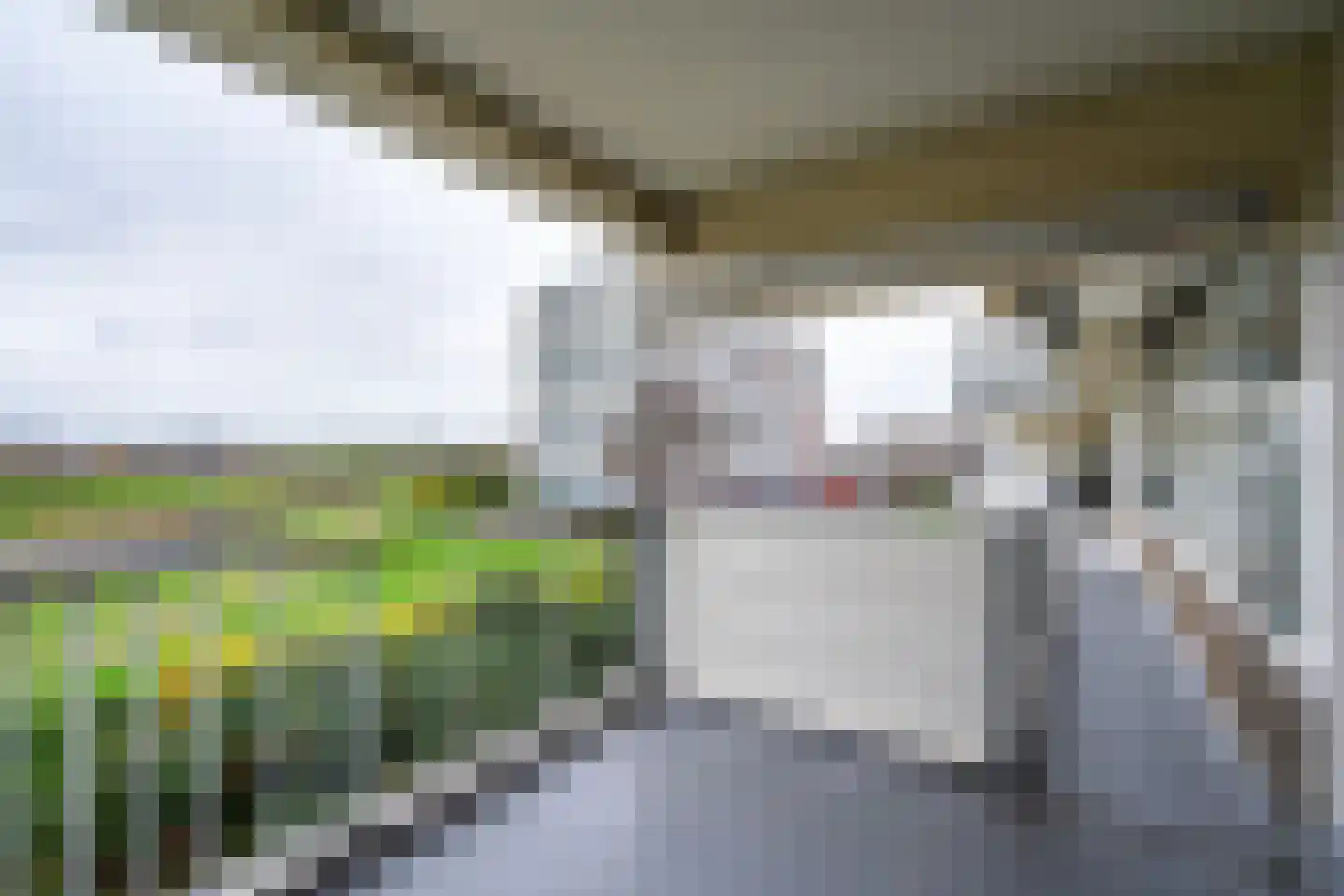 Merellaan 7 Maassluis thumbnail 20