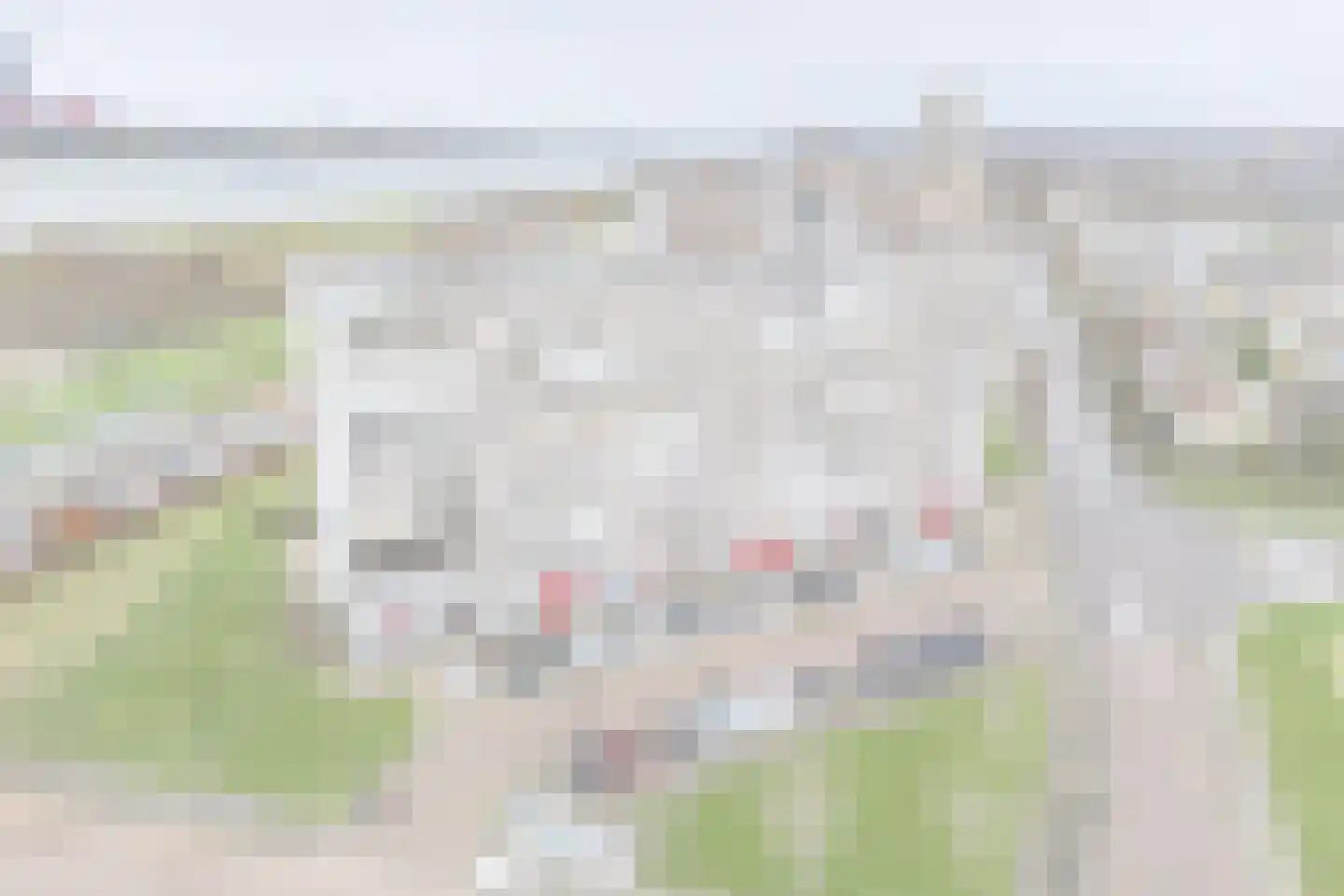 Merellaan 7 Maassluis thumbnail 8