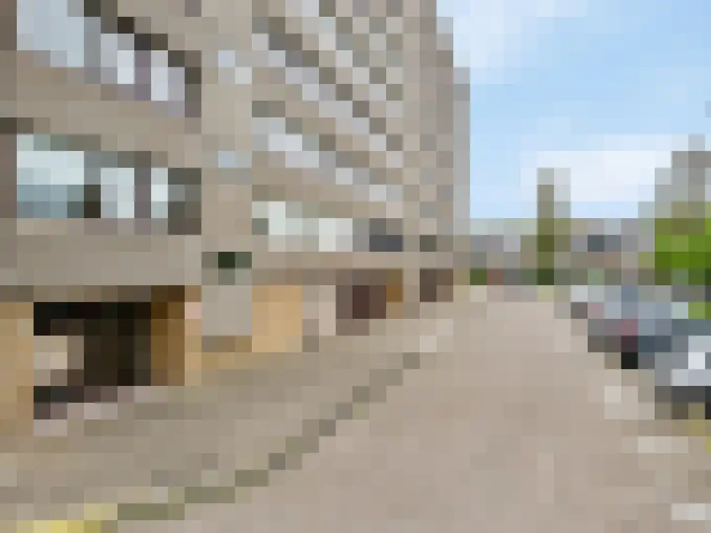 Merellaan 733 Maassluis thumbnail 8