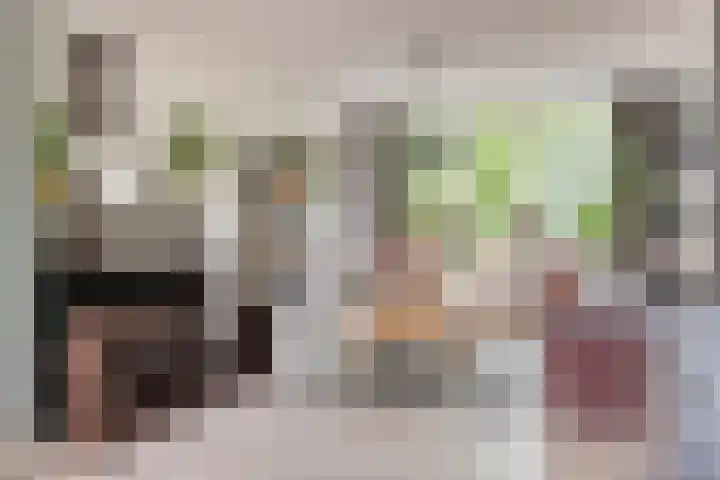 Merellaan 77 Capelle aan den IJssel thumbnail 11