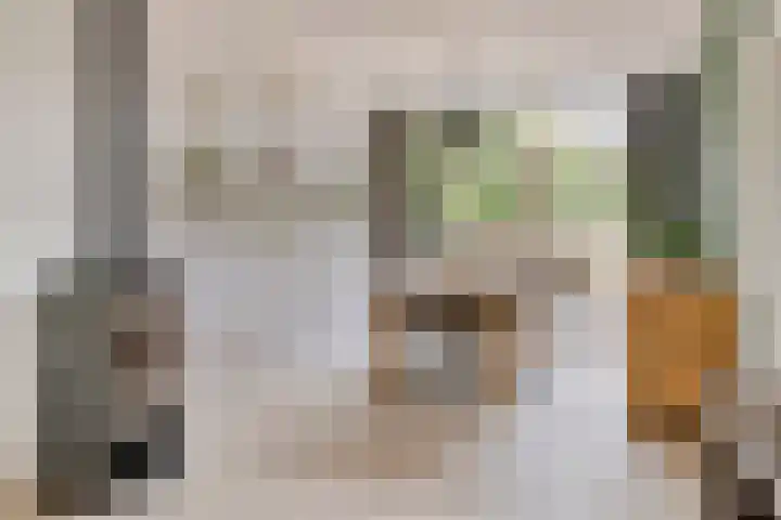 Merellaan 77 Capelle aan den IJssel thumbnail 13