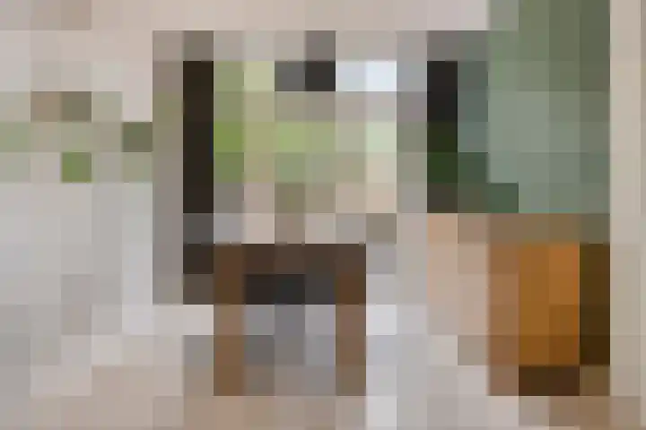 Merellaan 77 Capelle aan den IJssel thumbnail 14