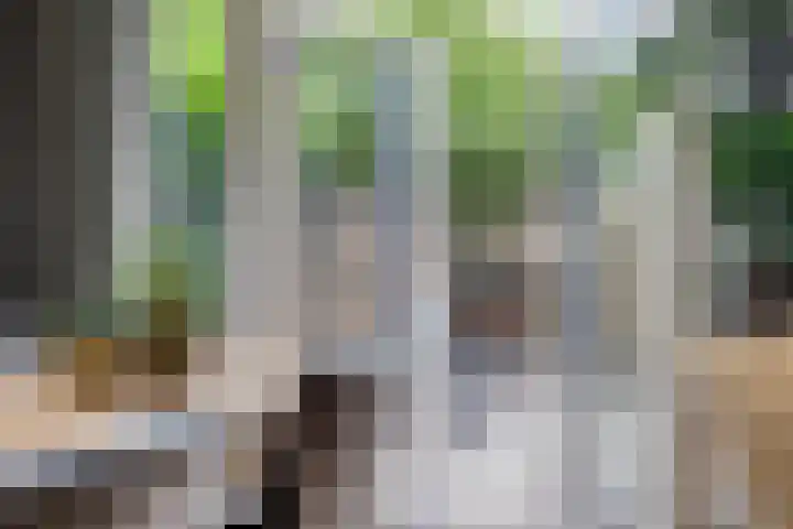 Merellaan 77 Capelle aan den IJssel thumbnail 15