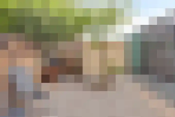 Merellaan 77 Capelle aan den IJssel thumbnail 20