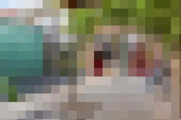 Merellaan 77 Capelle aan den IJssel thumbnail 22