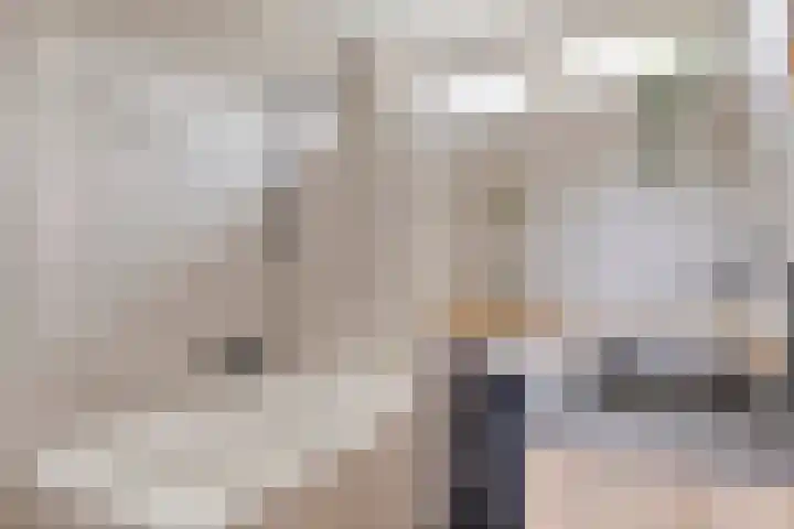 Merellaan 77 Capelle aan den IJssel thumbnail 4