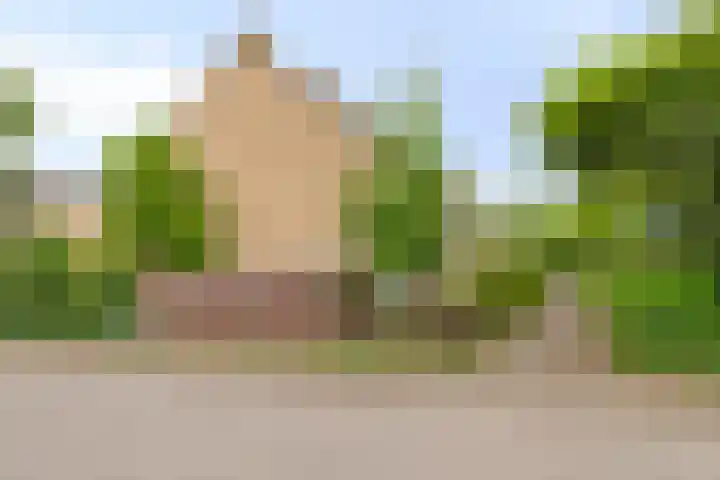 Merellaan 77 Capelle aan den IJssel thumbnail 5