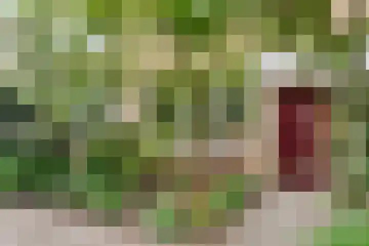 Merellaan 77 Capelle aan den IJssel thumbnail 6