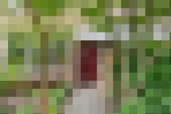 Merellaan 77 Capelle aan den IJssel thumbnail 7