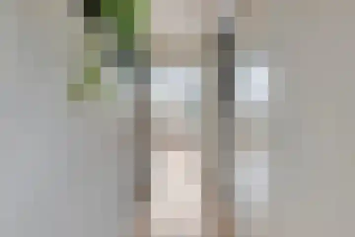 Merellaan 77 Capelle aan den IJssel thumbnail 8