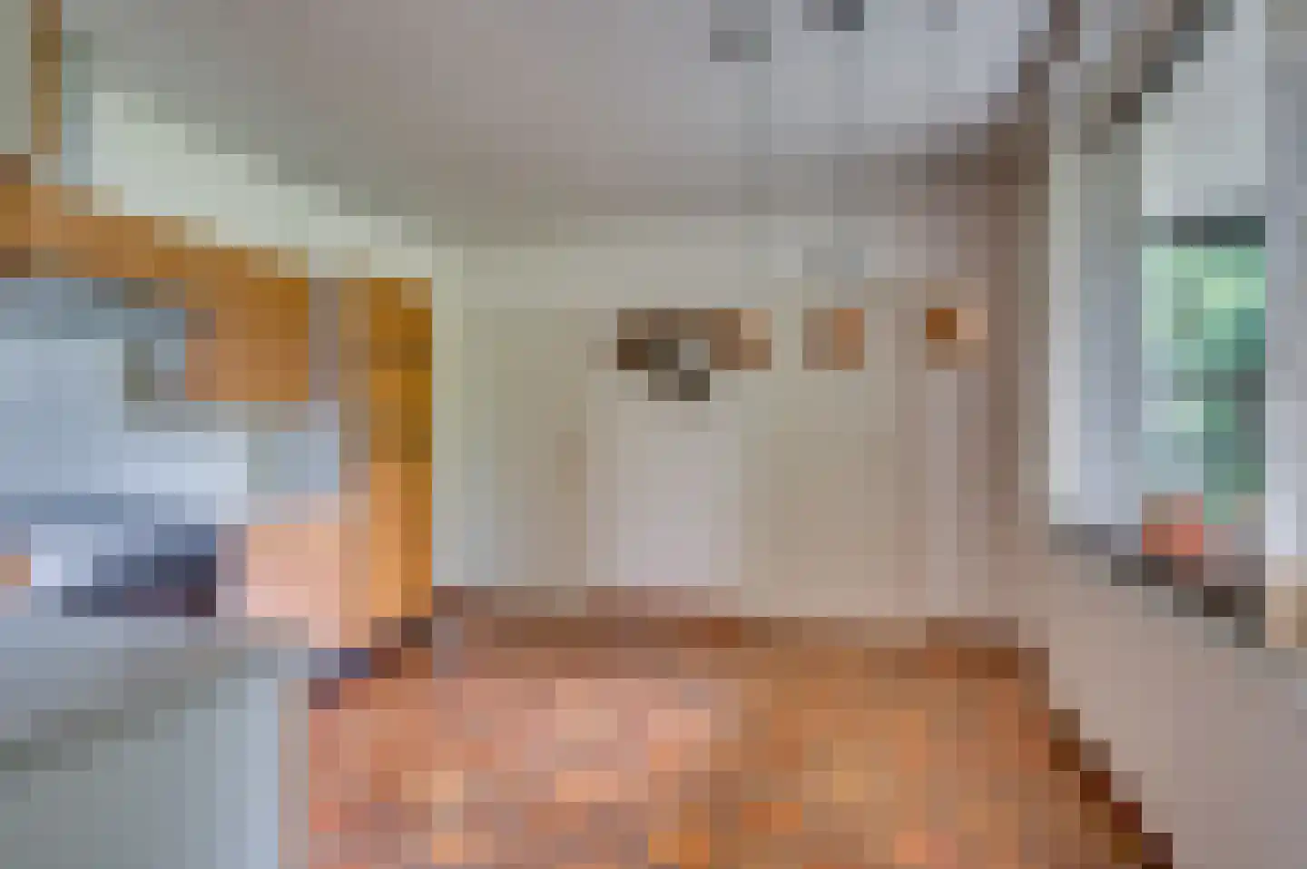 Merellaan 8 Grubbenvorst thumbnail 30