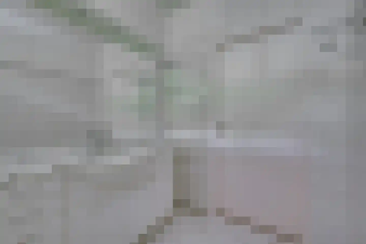 Merellaan 8 Grubbenvorst thumbnail 42