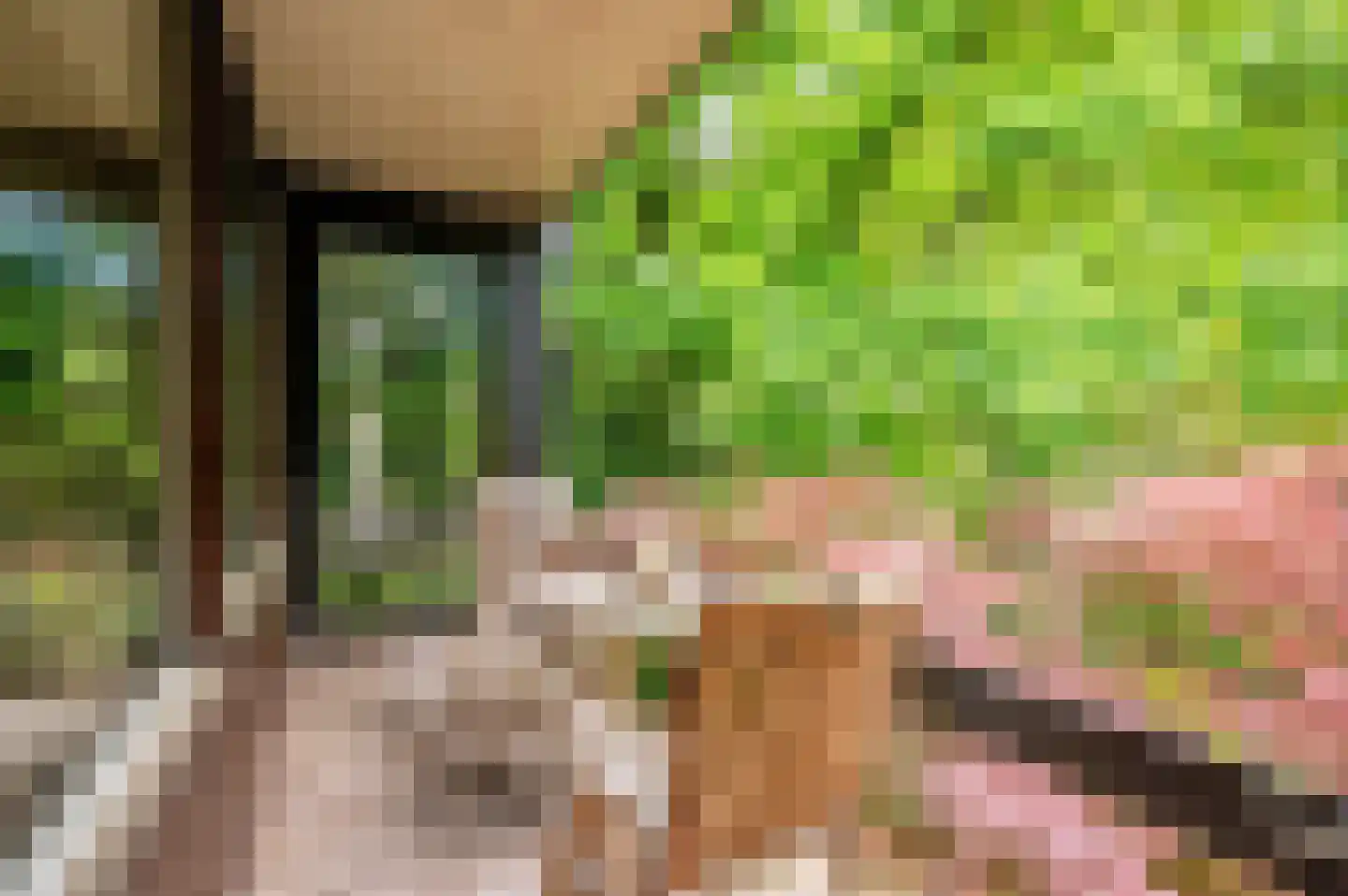Merellaan 8 Grubbenvorst thumbnail 47