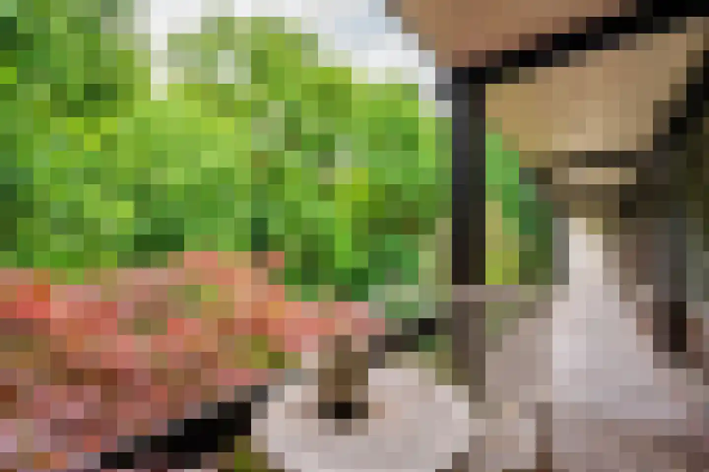 Merellaan 8 Grubbenvorst thumbnail 48