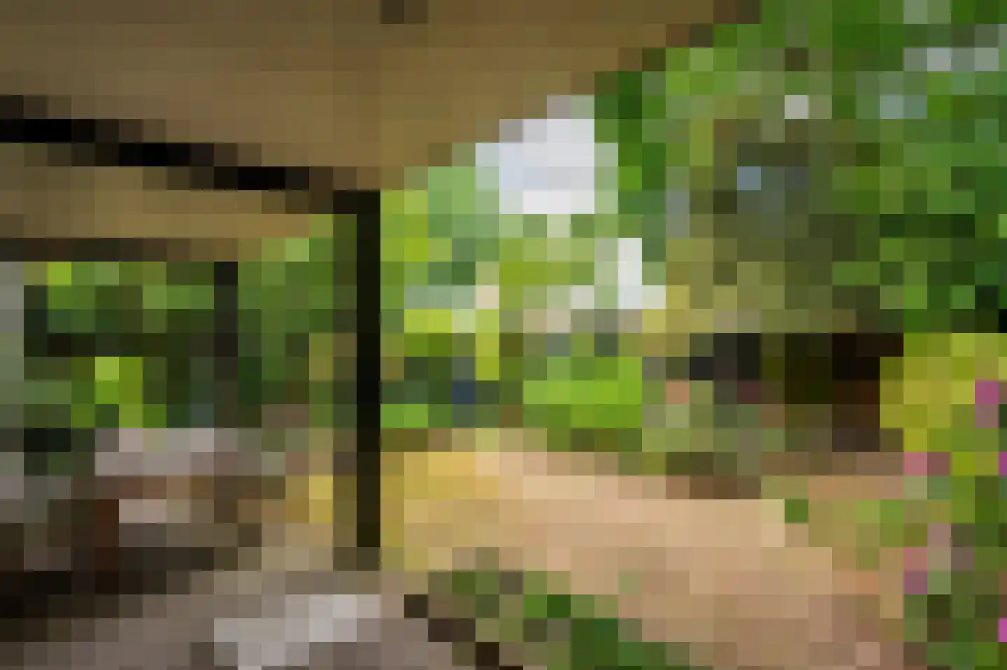 Merellaan 8 Grubbenvorst thumbnail 50
